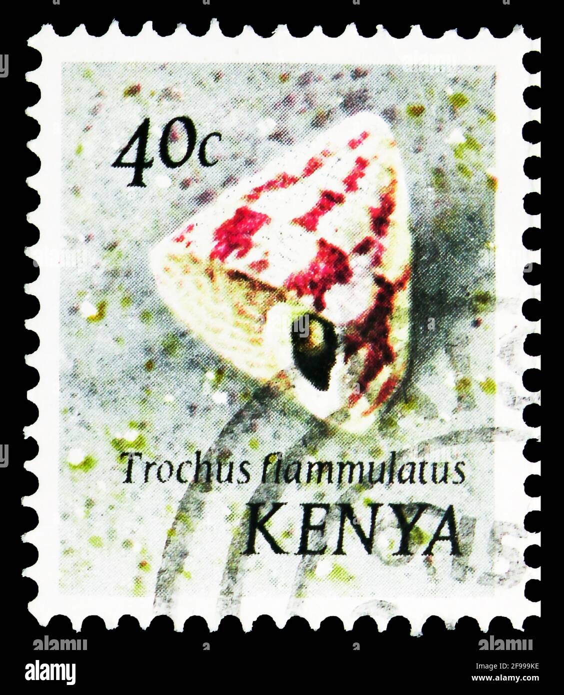 MOSCOW, RUSSIA - NOVEMBER 4, 2019: Postage stamp printed in Kenya shows Flame Top Shell (Trochus flammulatus), Molluscs of the sea serie, 40 Kenyan ce Stock Photo