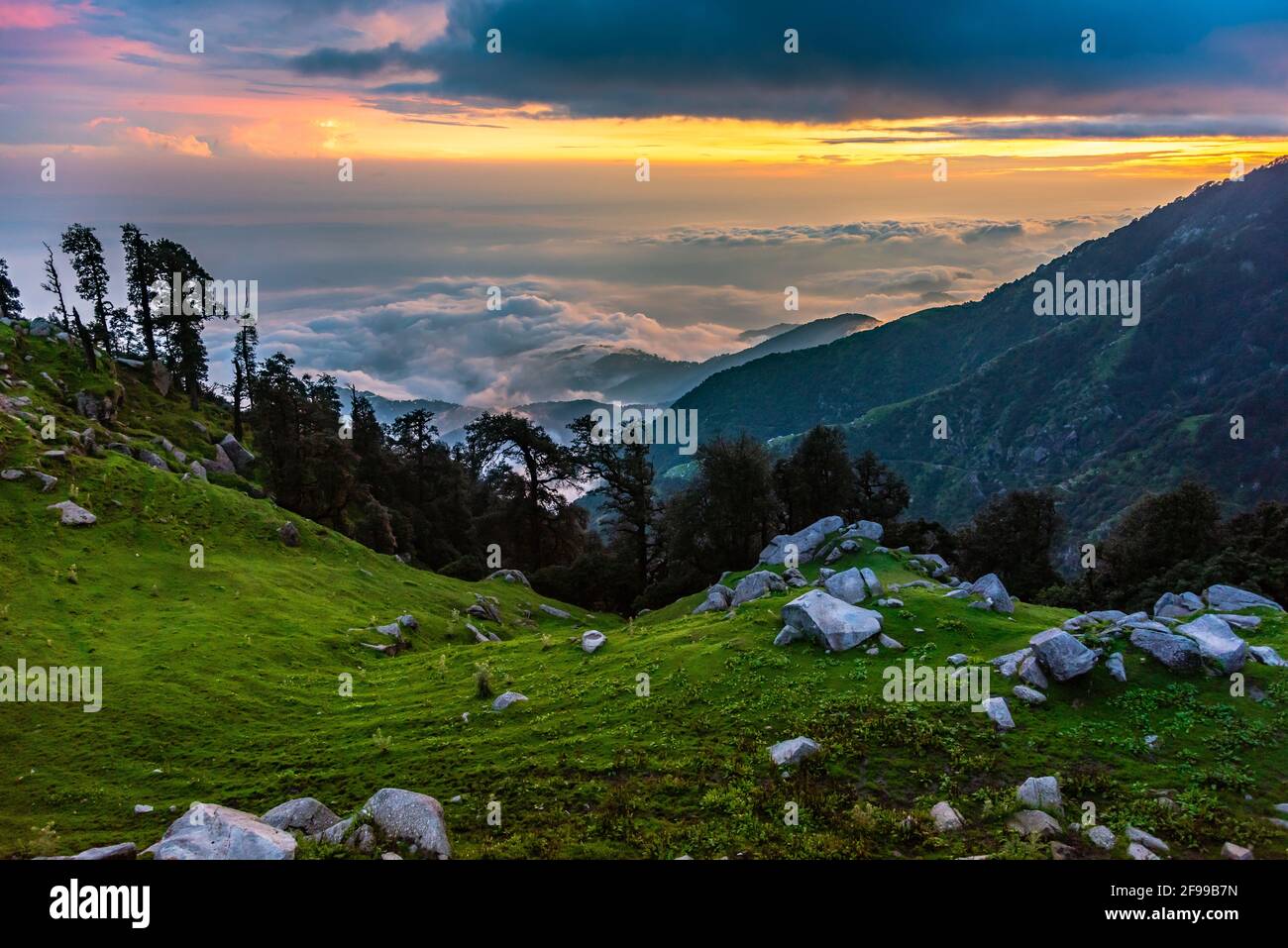 India dharamsala mcleodganj himalayan forest hi-res stock photography and  images - Alamy