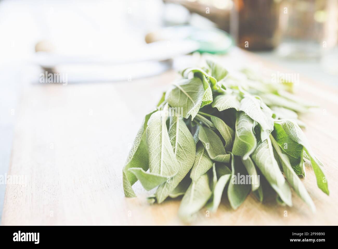 Fresh sage, Mediterranean herbs a delight from the garden and