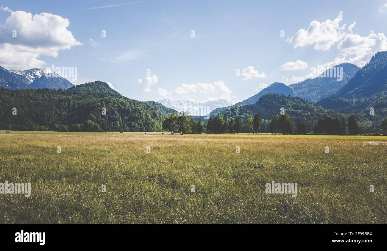 Alpine meadows and views of fantastic mountains in the Alps near Eschenlohe, Garmisch-Partenkirchen, Bavaria, Germany, Europe. Stock Photo