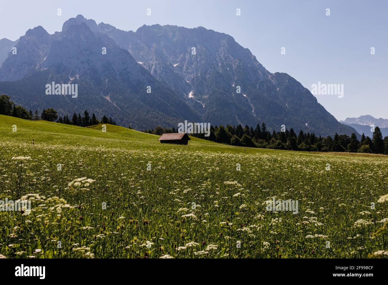 Meadows (humpback meadows) and Karwendel, mountains of the Alps in ...