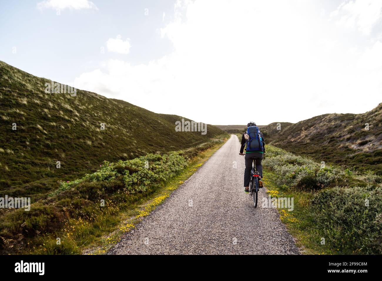 A cyclist in the dune landscape at the Ellenbogen, northern landscape on the island of Sylt, Germany, Europe Stock Photo