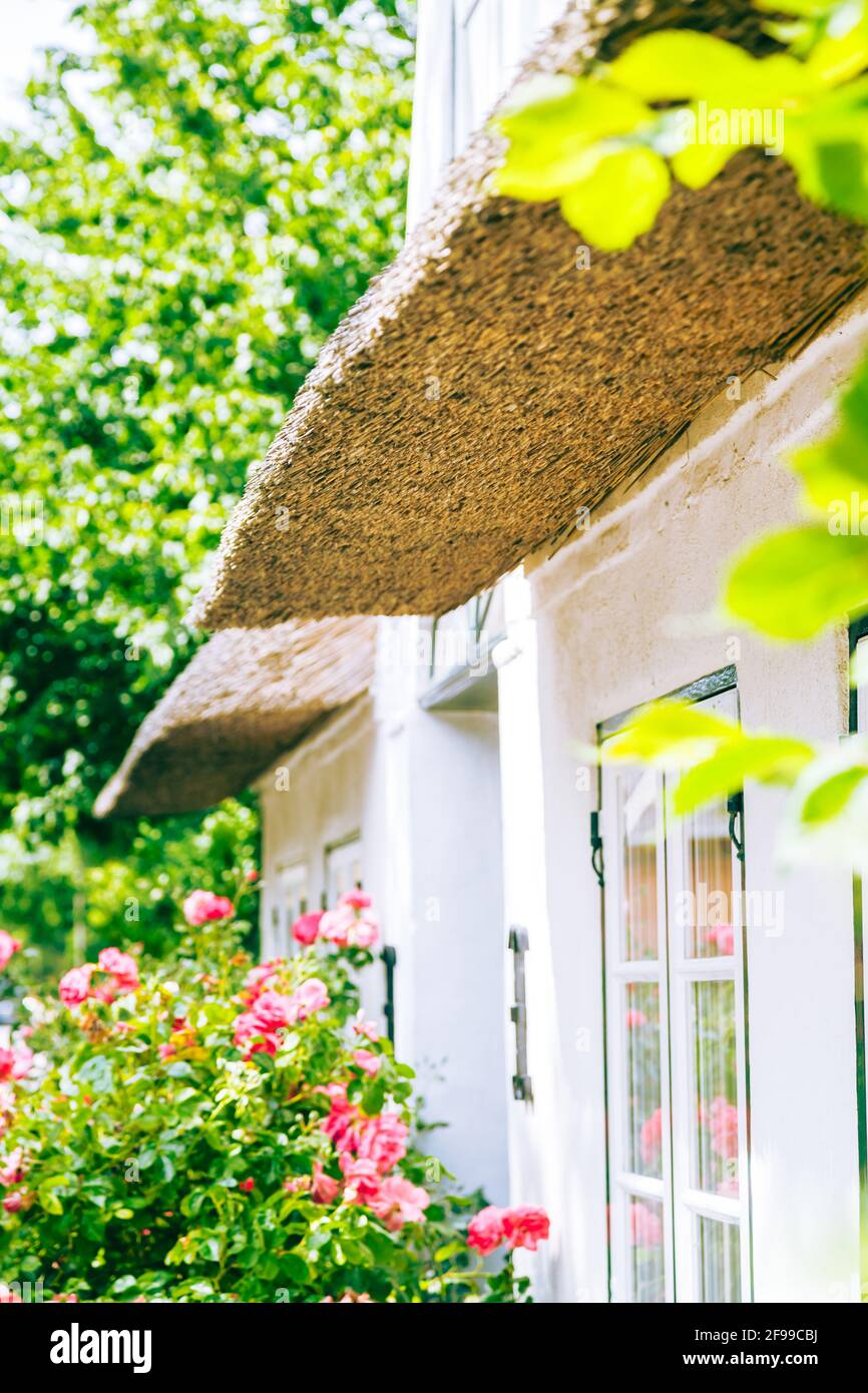 The underside of a thatched house. You can see the many layers of straw