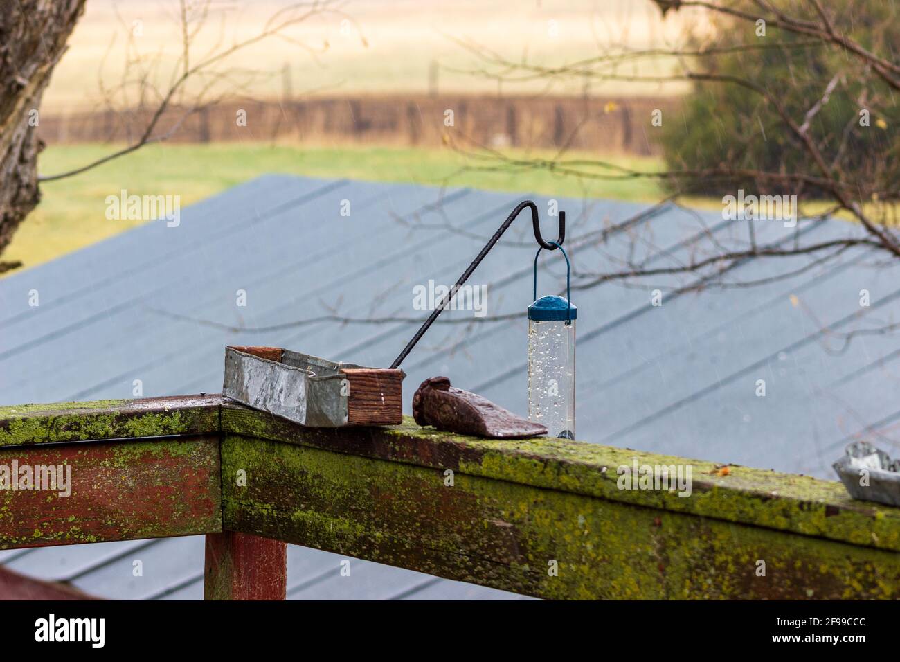 A rustic homemade bird feeder perches next to a well used splitting wedge on a lichen covered deck rail with a hanging bird feeder in the background. Stock Photo