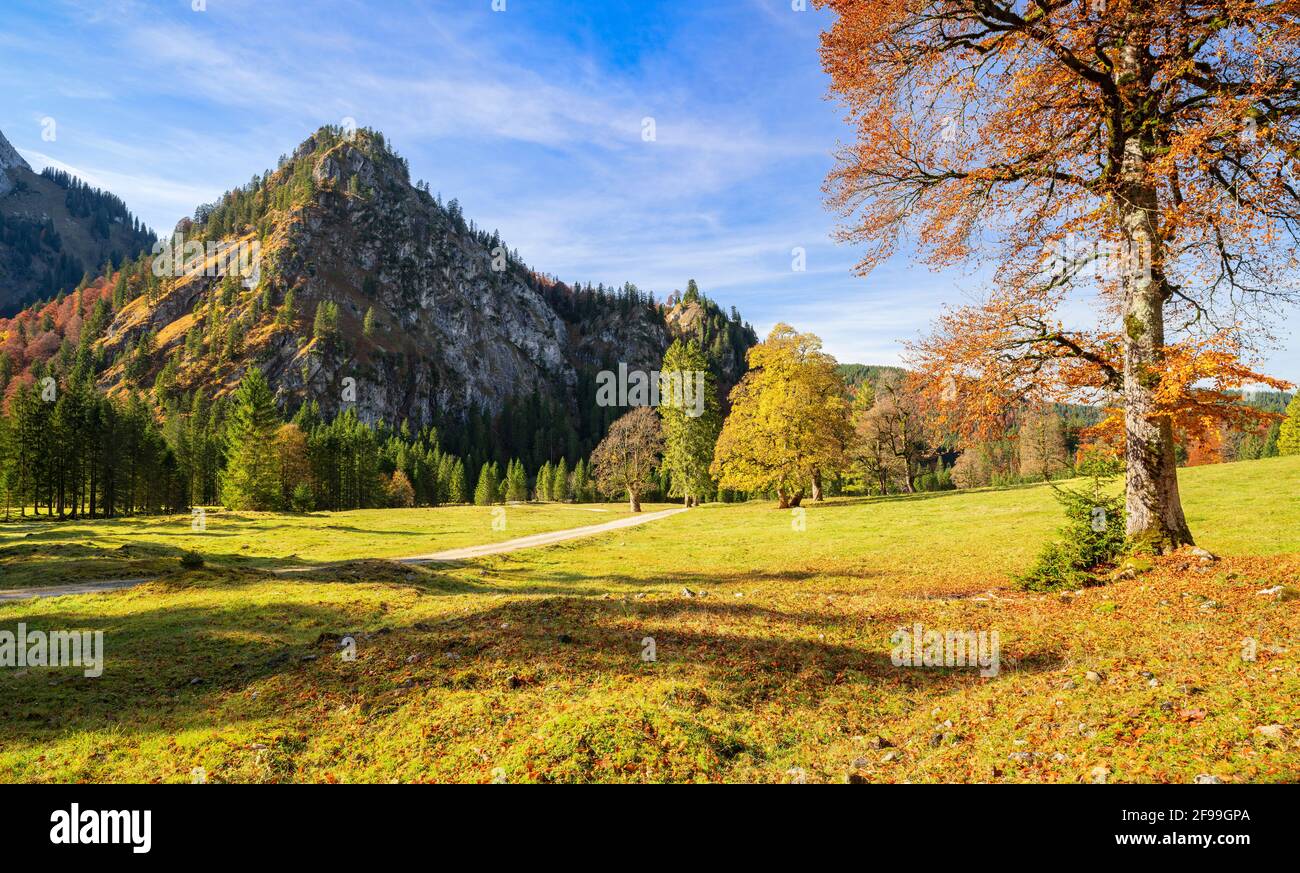 Colorfully discolored mountain landscape on a sunny autumn day near Buching. Ammergau Alps, Bavaria, Germany, Europe Stock Photo