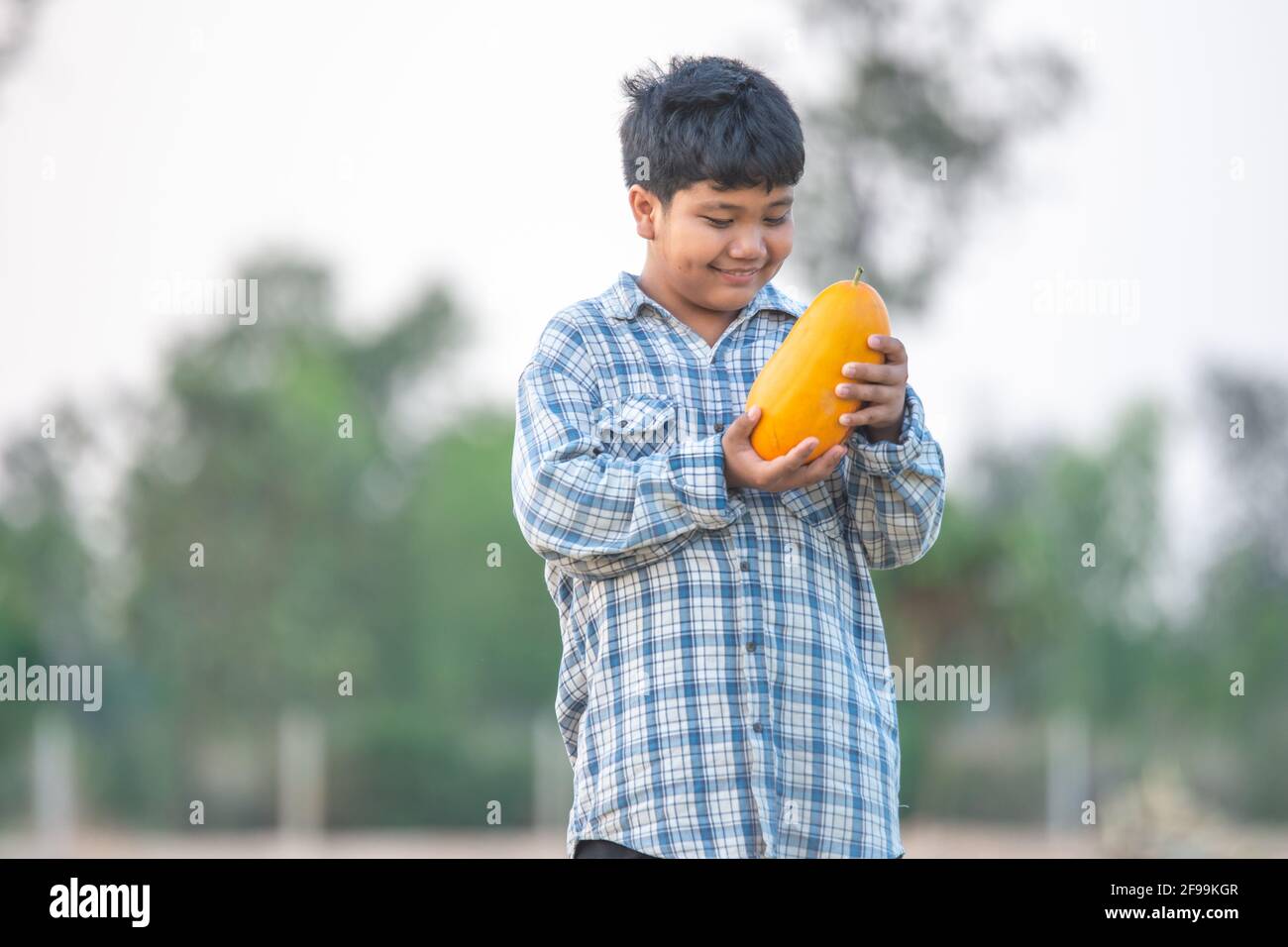A boy with a melon in the field Quality selection for consumers, Kid smile with melon in farm Stock Photo