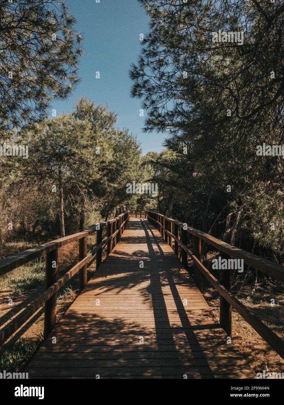 Empty wooden road in Mediterranean park toned image, perspective Stock ...