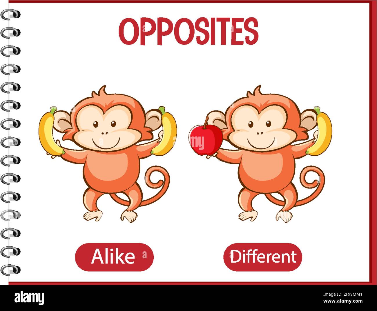 Opposite words with alike and different illustration Stock Vector Image &  Art - Alamy