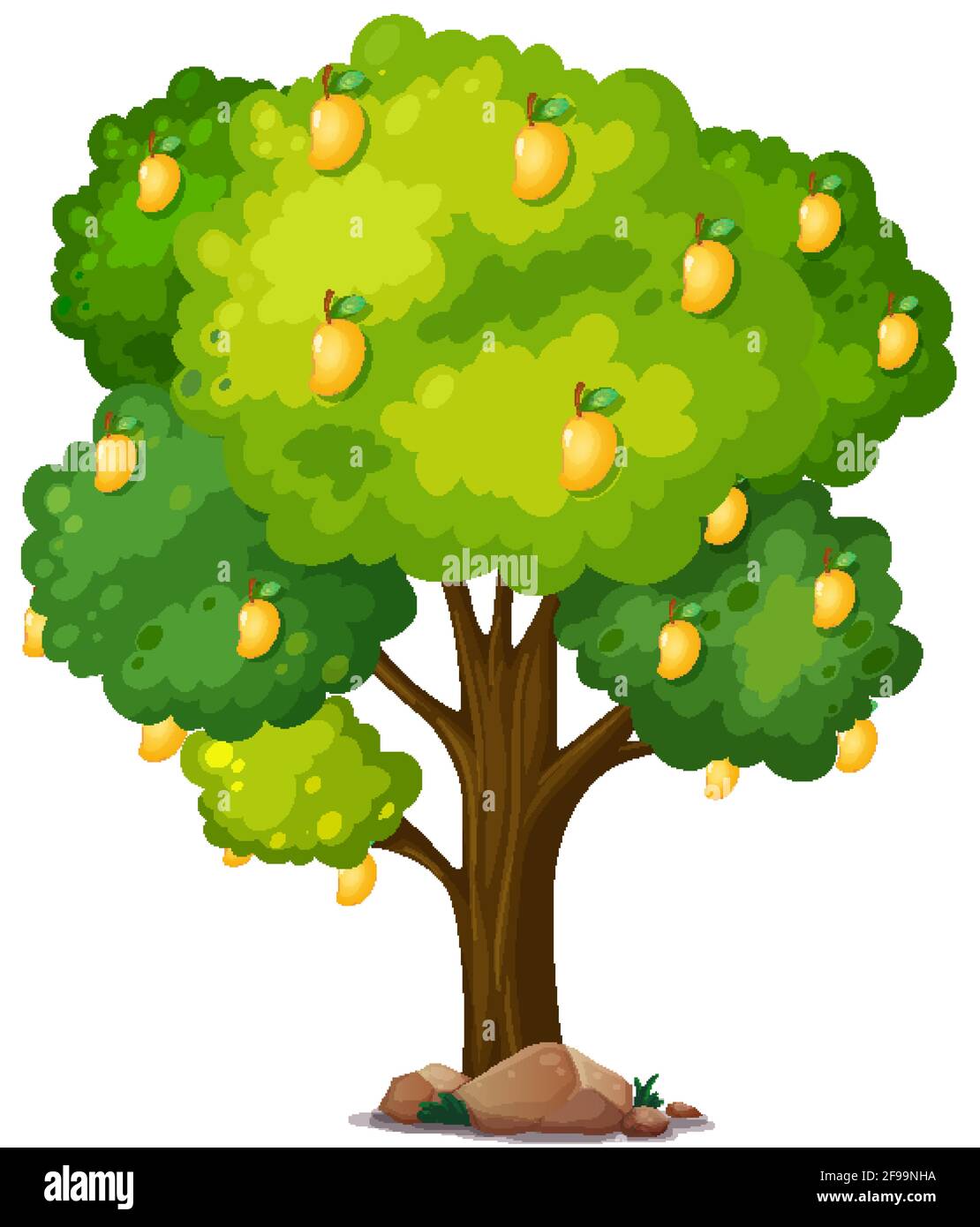 Yellow mango tree isolated on white background illustration Stock ...