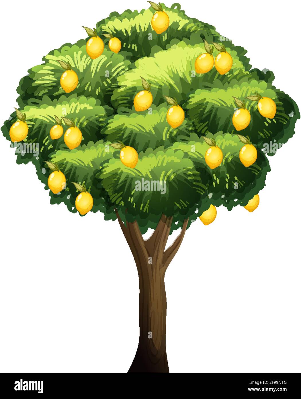 Lemon tree isolated on white background illustration Stock Vector Image ...