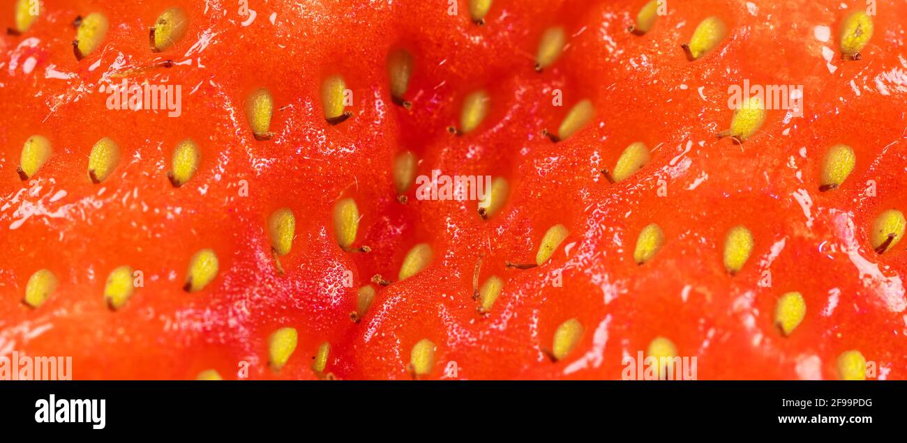 Macro shot of a fresh red strawberry Stock Photo - Alamy