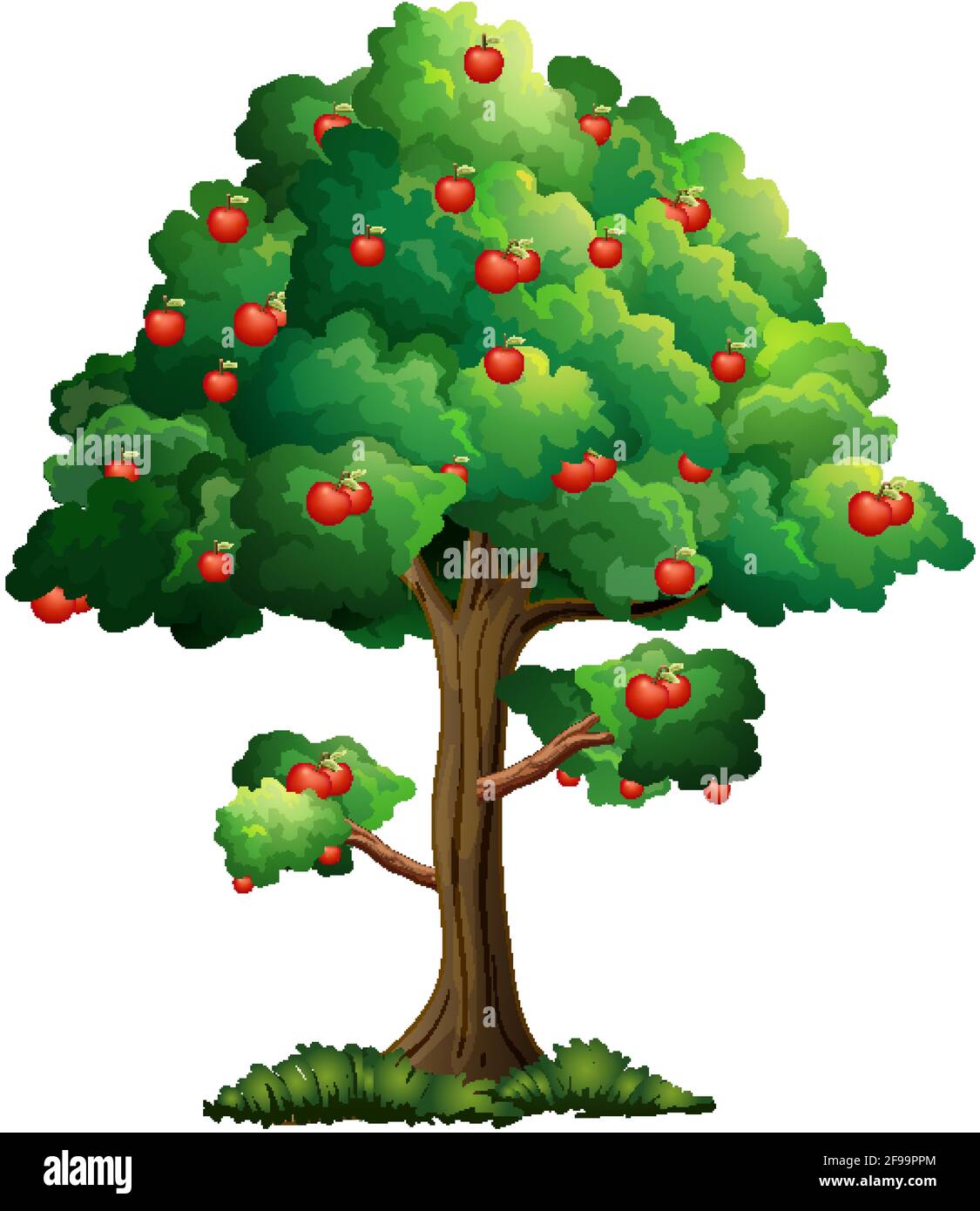 Apple Tree Isolated On White Background Illustration Stock Vector Image 