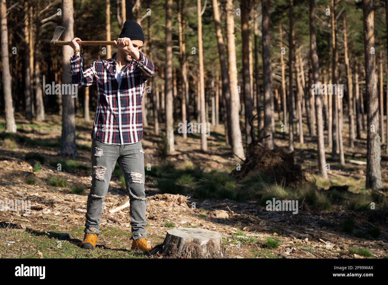 Spanish lumberjack man chopping wood with an ax in the forest Stock