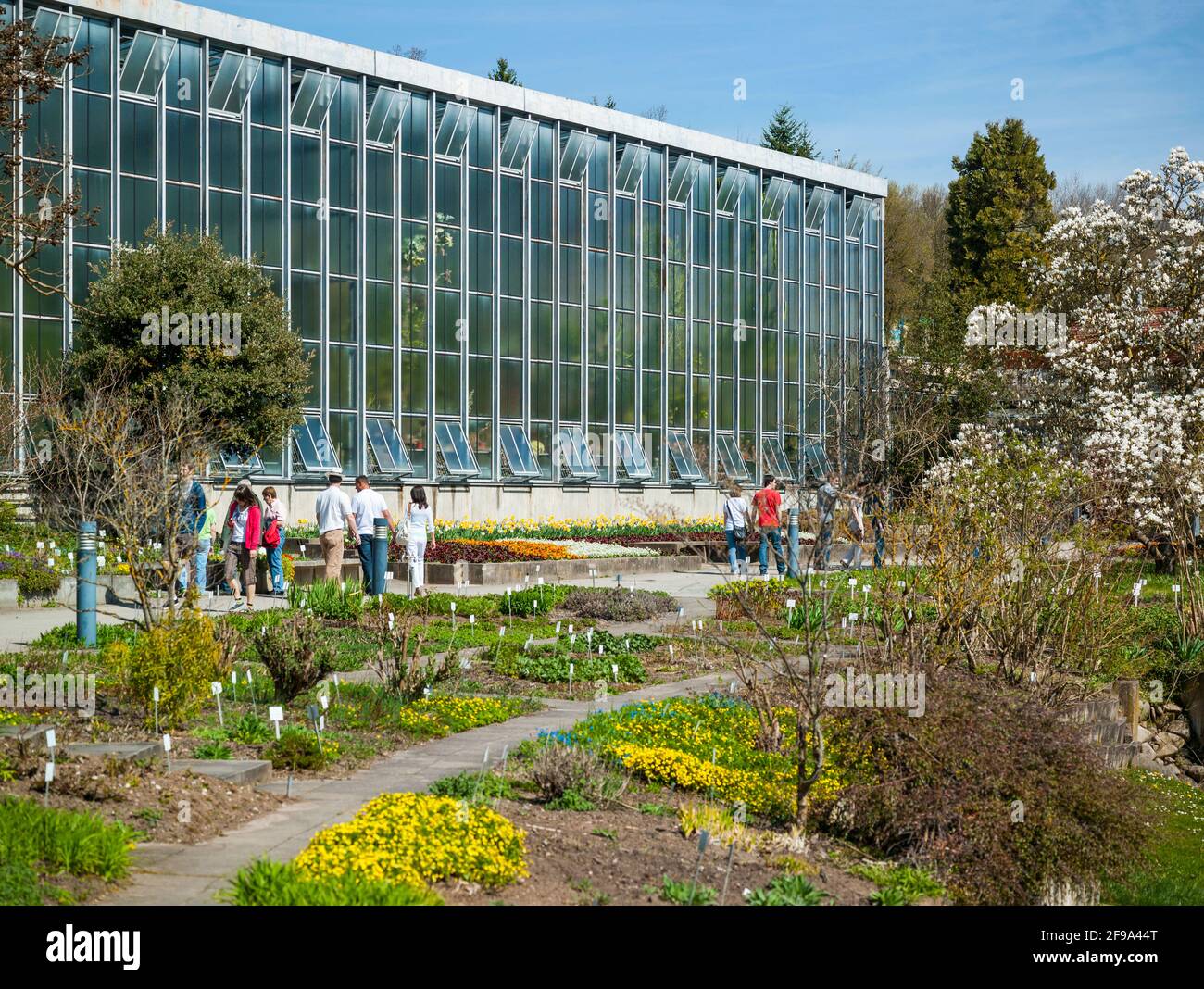 Germany, BadenWuerttemberg, Tuebingen, Botanical Garden Stock Photo Alamy