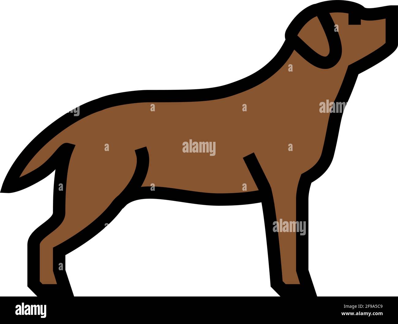labrador retriever dog color icon vector illustration Stock Vector ...