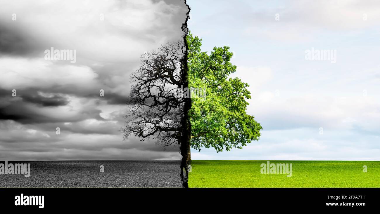 Climate change from barren landscape to green growth Stock Photo