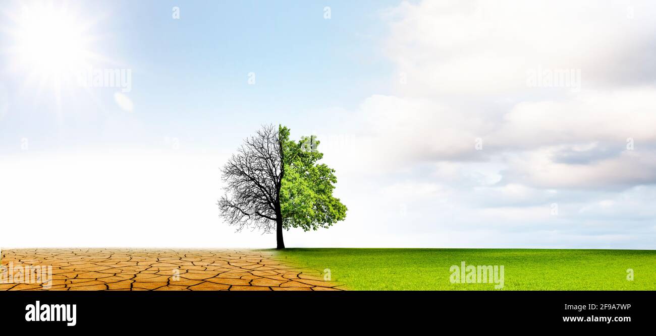 Climate change from drought to green growth Stock Photo