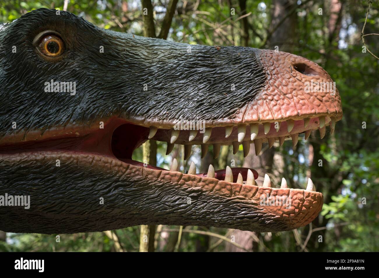 Velociraptor claw hi-res stock photography and images - Alamy