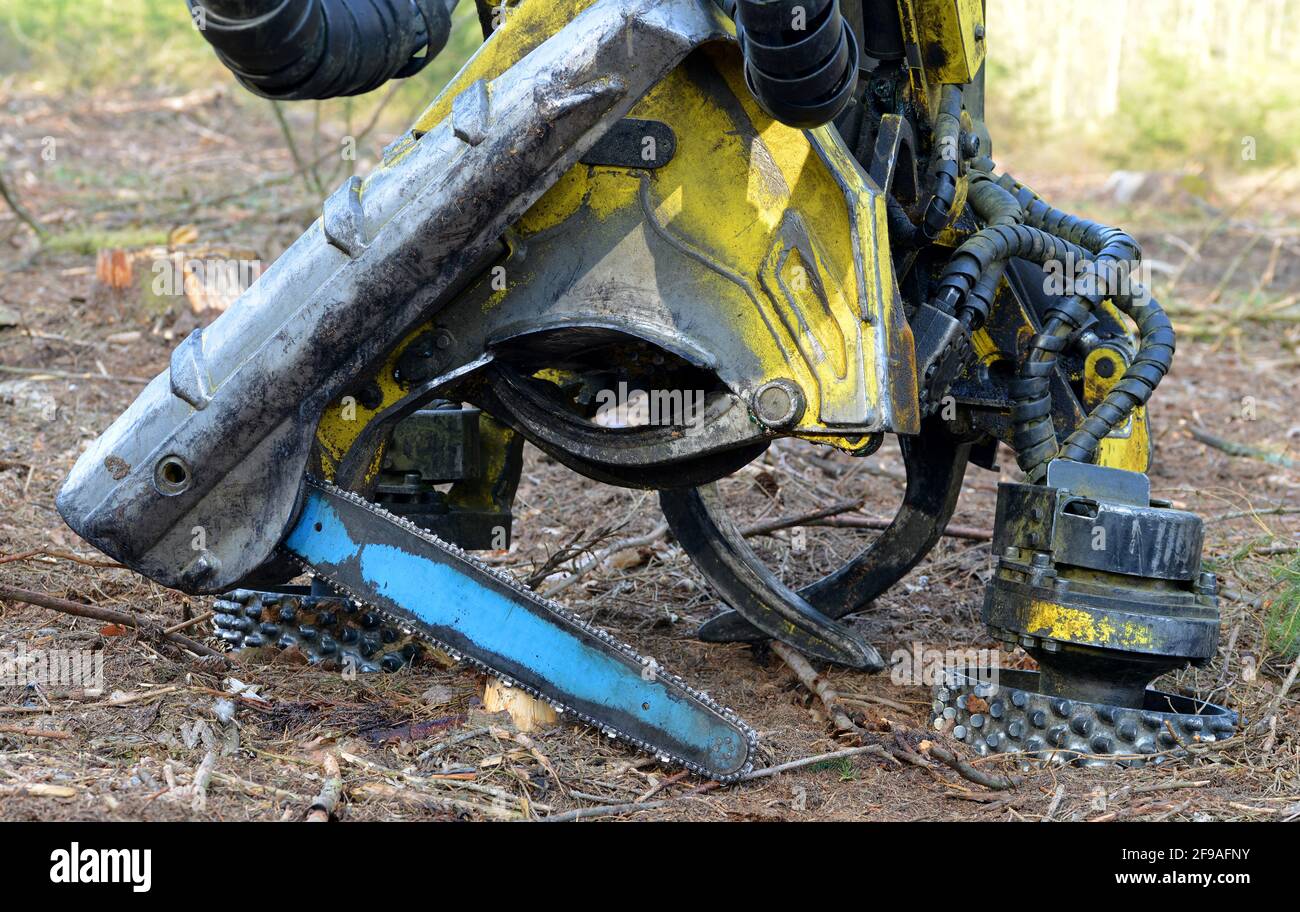 Cutting head of a tree felling harvester close up. Stock Photo