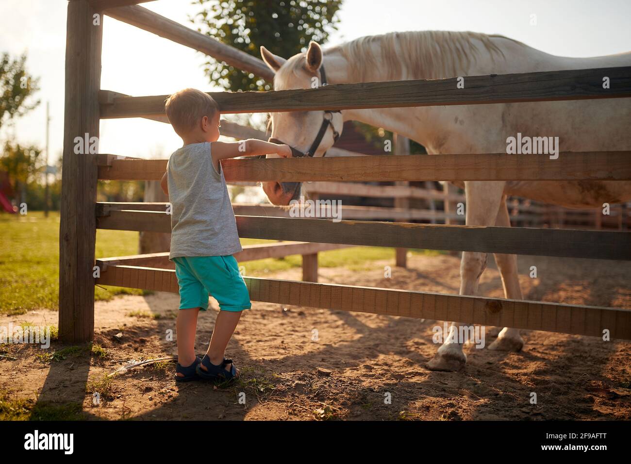 A little boy cuddling a horse in the farm on a beautiful weather. Farm, countryside, summer Stock Photo