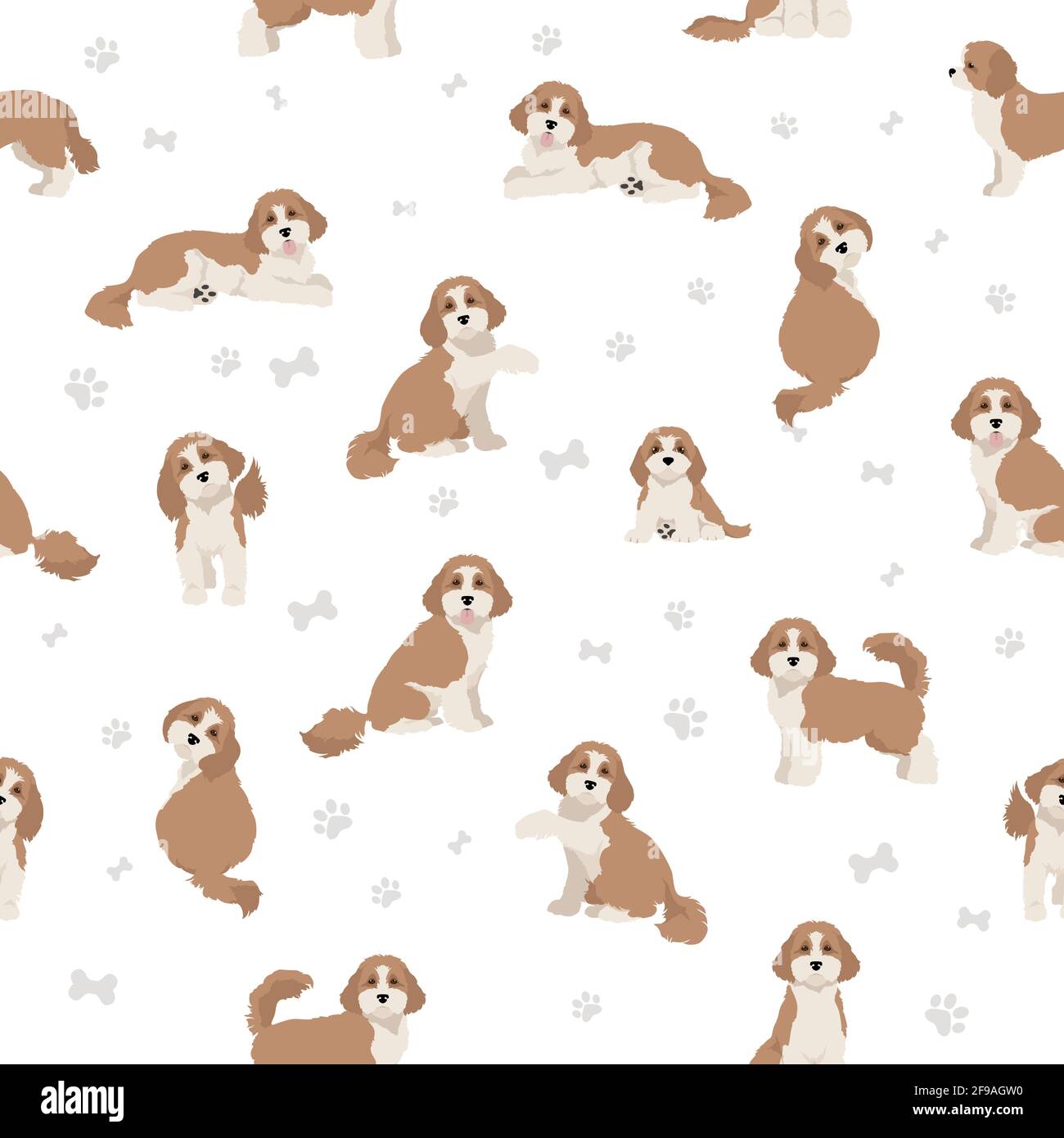 Cavapoo mix breed seamless pattern. Different poses, coat colors set ...