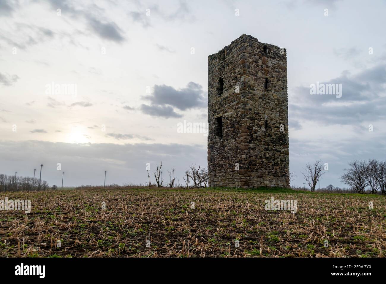 Germany, Saxony-Anhalt, Wanzleben, watchtower made of field stones, the blue observation tower from 1438. Belongs to the oldest buildings in the Magdeburg Börde. In Saxony-Anhalt only two more control rooms from this time have survived. Stock Photo