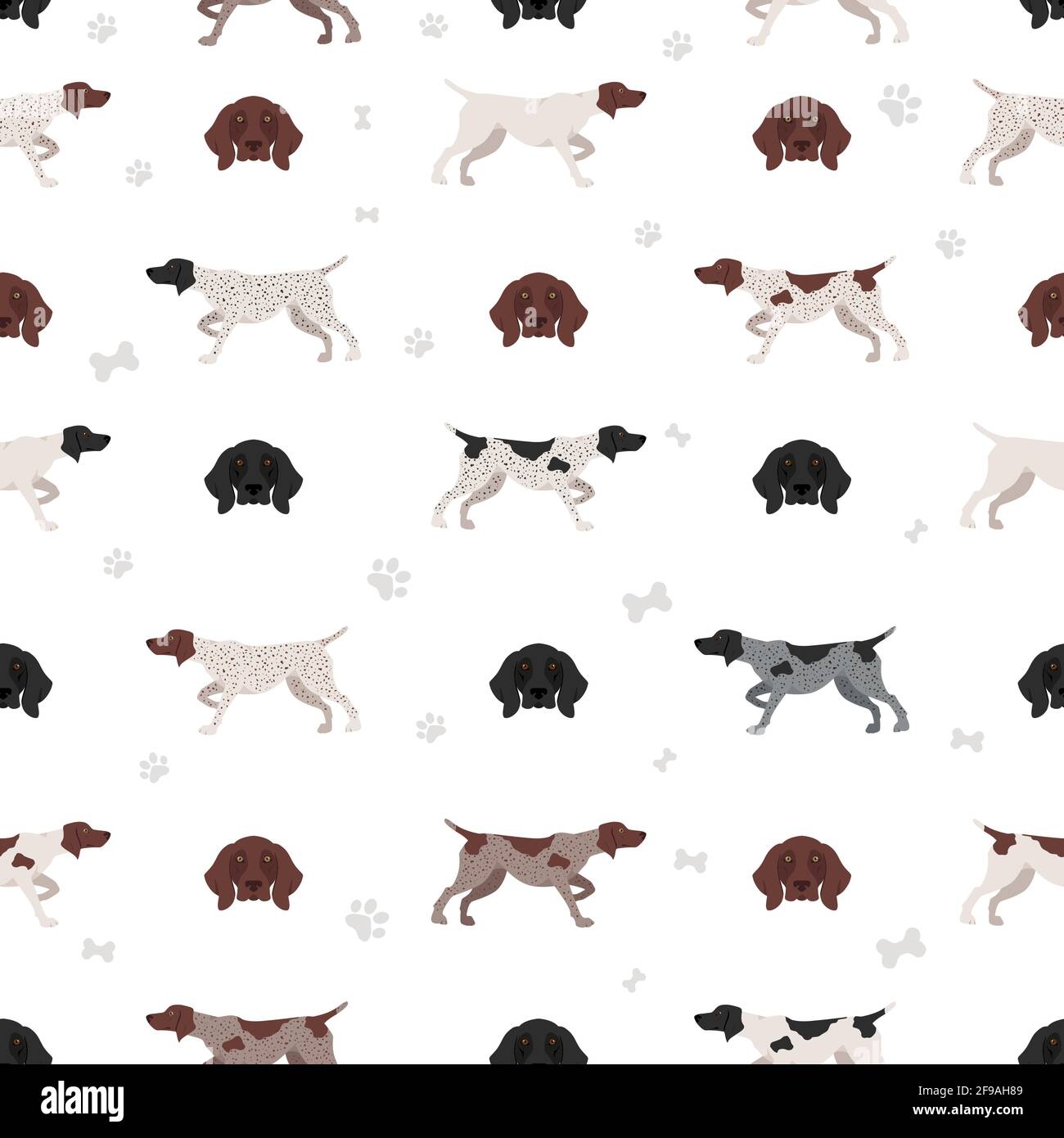 German Shorthaired Pointer Different Poses, Coat Colors Vector