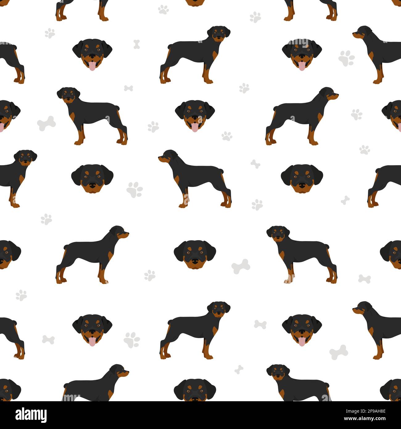 Rottweiler seamless pattern. Different poses, coat colors set. Vector