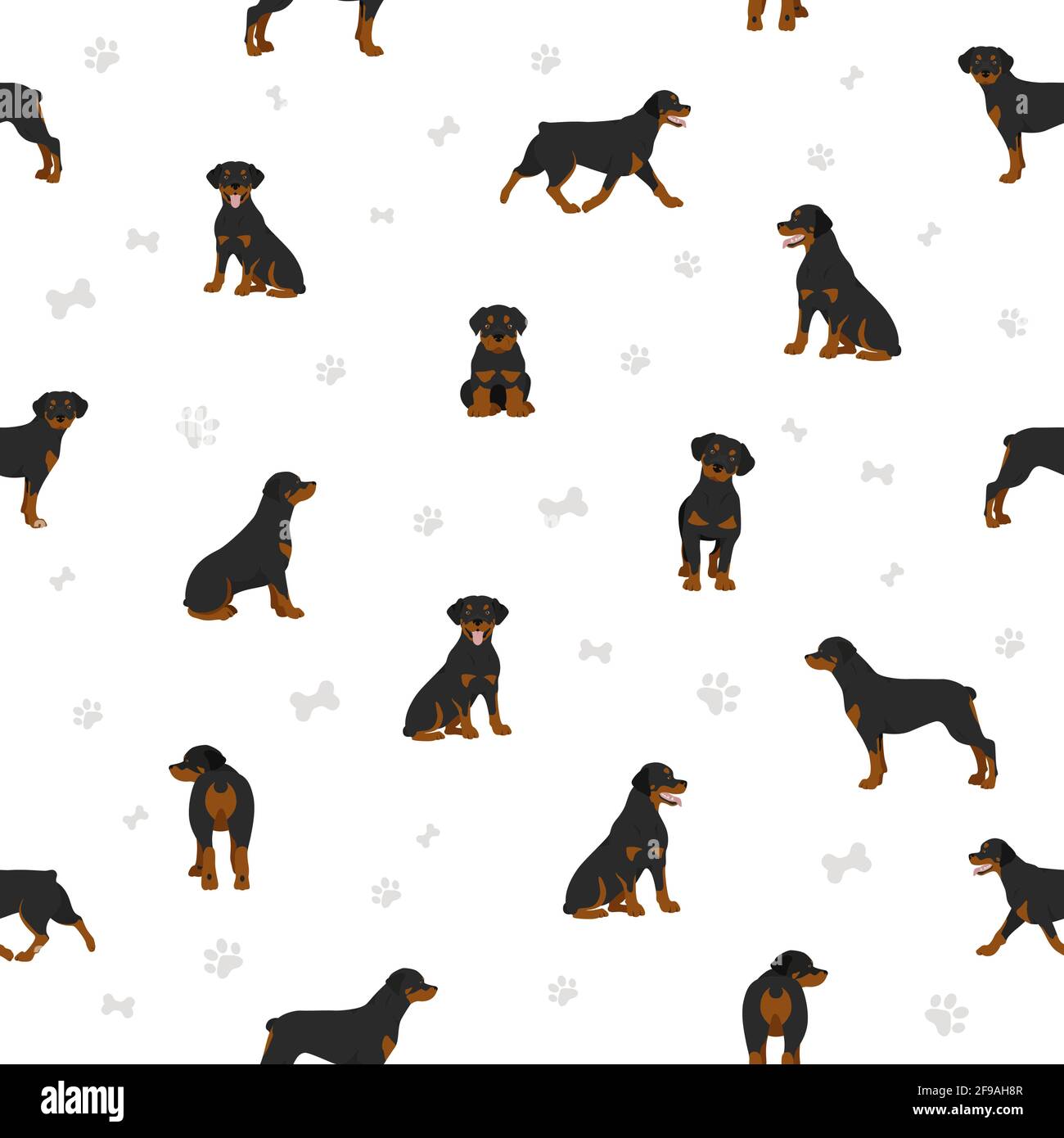 Rottweiler seamless pattern. Different poses, coat colors set. Vector