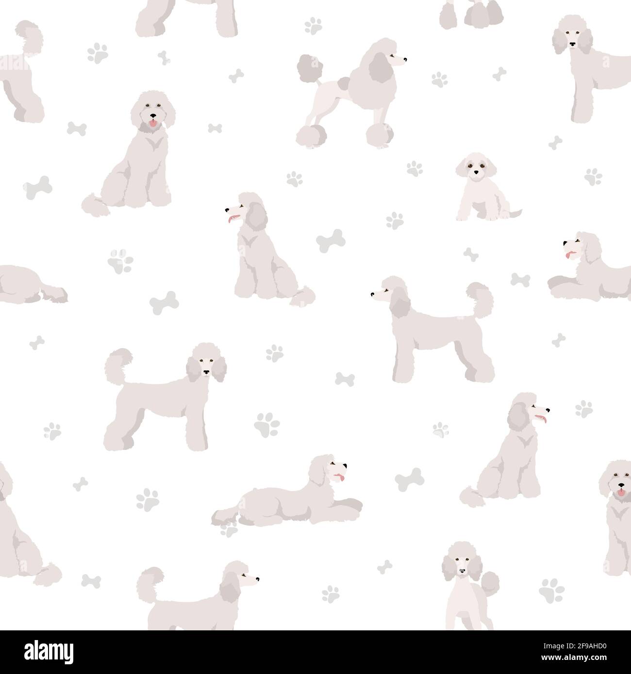 Standard poodle seamless pattern. Different poses, coat colors set. Vector illustration Stock