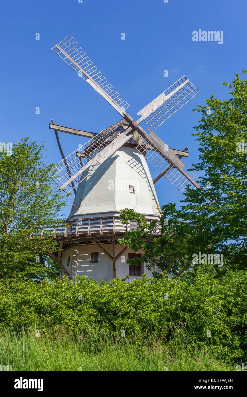 Wedding mill, Dutch windmill, windmill, Westphalian Mühlenstrasse, Ton Heath, Rahden, Minden-Lübbecke, North Rhine-Westphalia, Germany, Europe Stock Photo