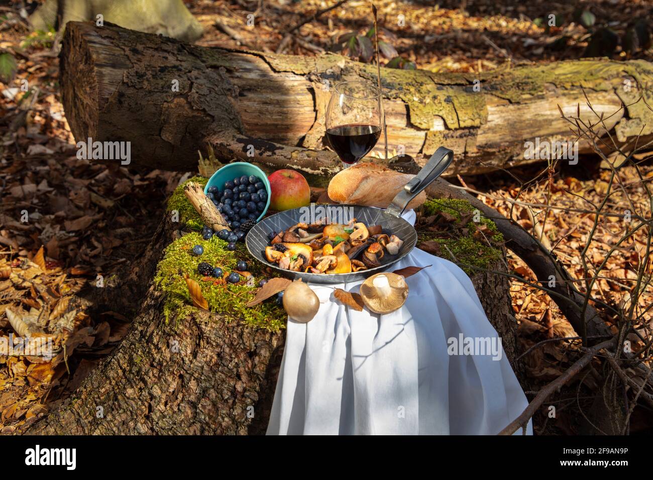 Mushroom pan, mushrooms and blueberries in the forest on a tree trunk covered with moss Stock Photo