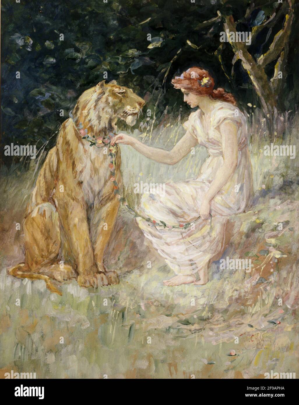 Lady and the Tiger, 1900 Stock Photo - Alamy