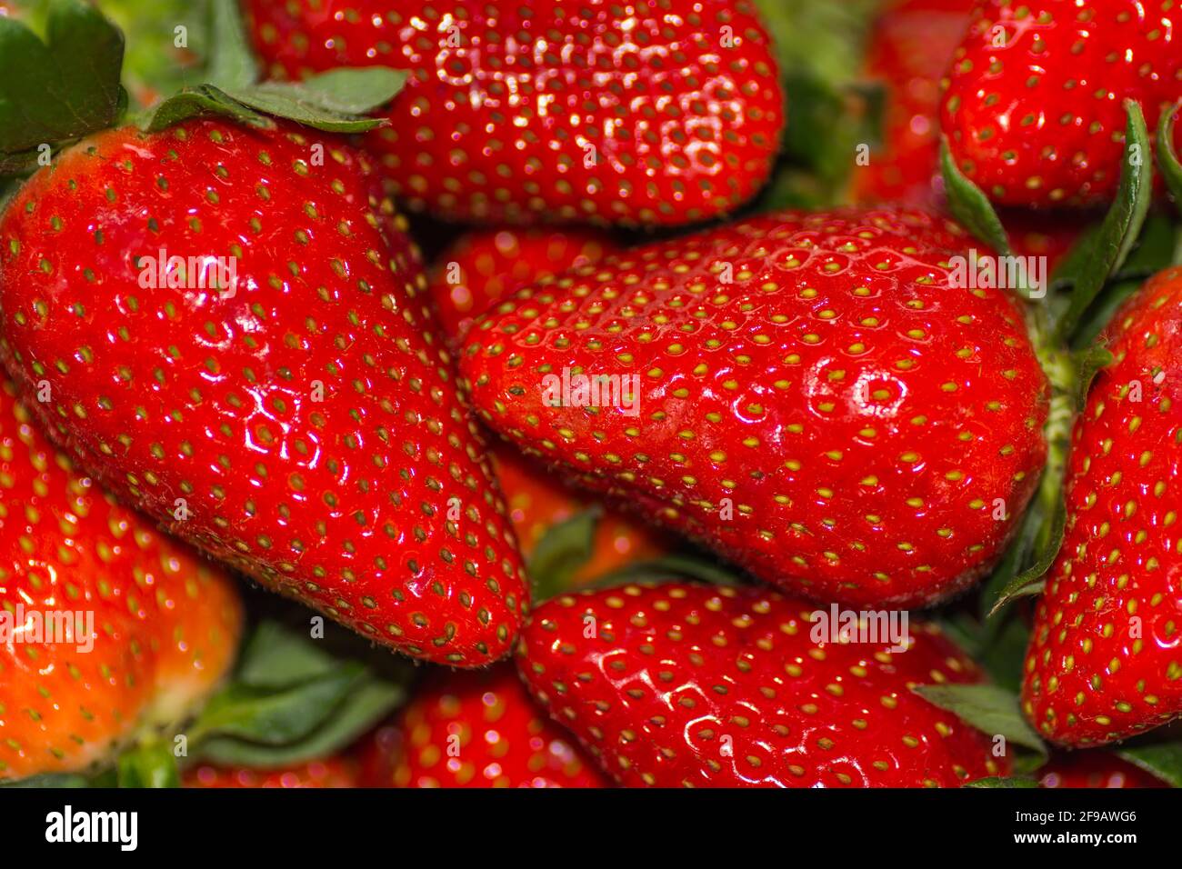 lot of red fresh ripe and juicy strawberries Stock Photo - Alamy