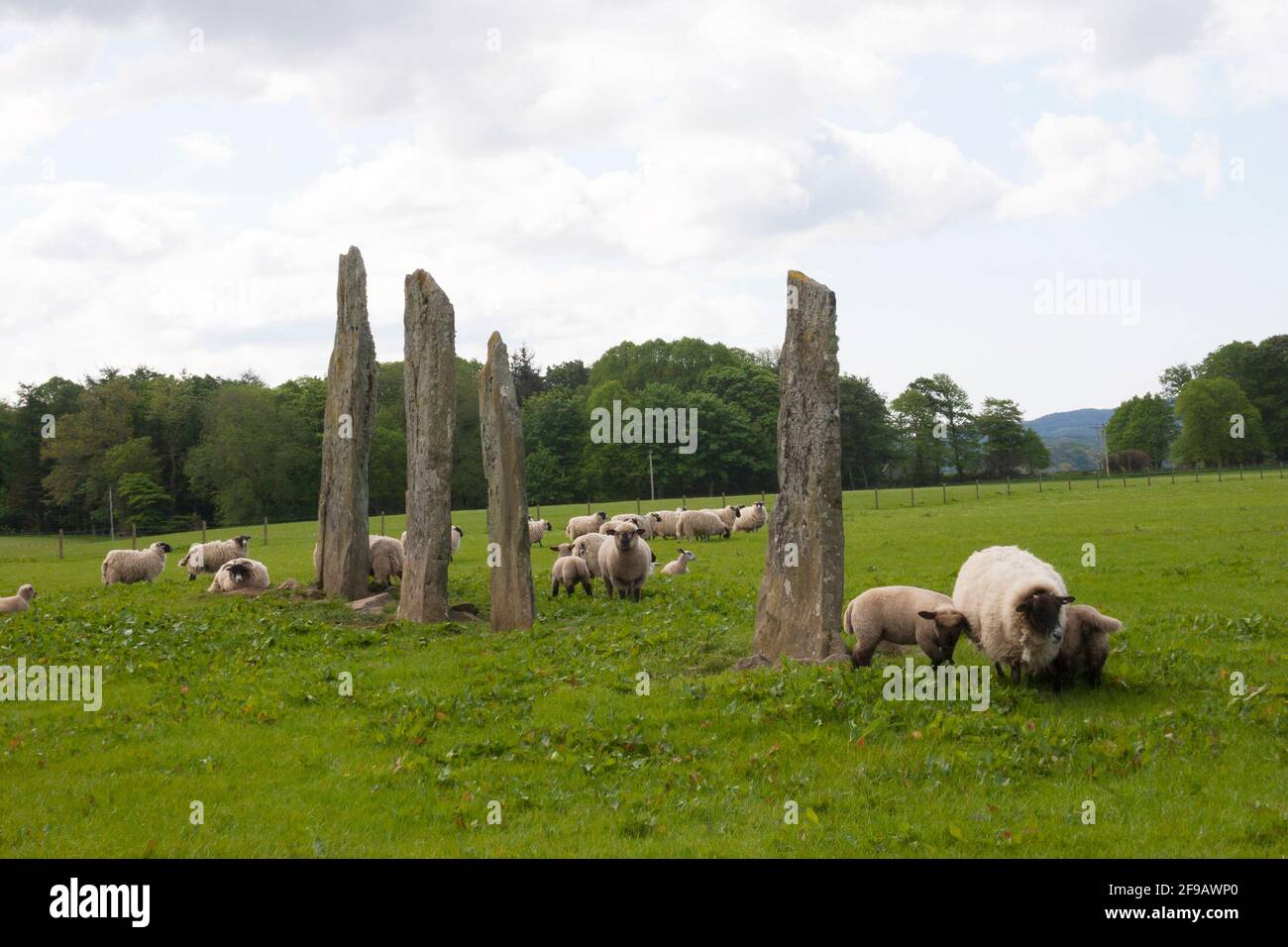 Standing stones at Ballymeanoch, Kilmartin, Argyll, Scotland Stock Photo