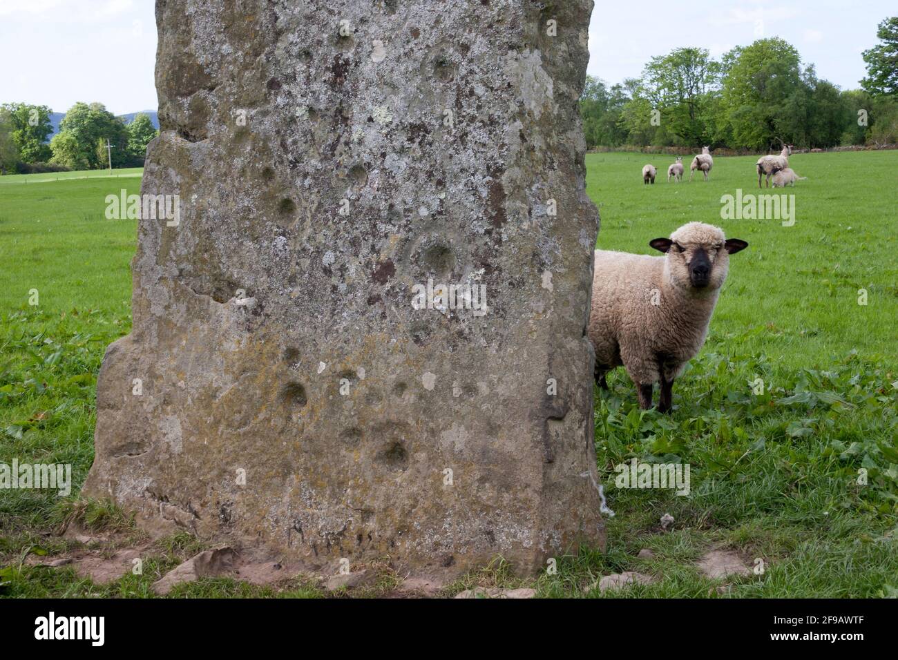 Prehistoric standing stones at Ballymeanoch, Kilmartin, Argyll, Scotland Stock Photo
