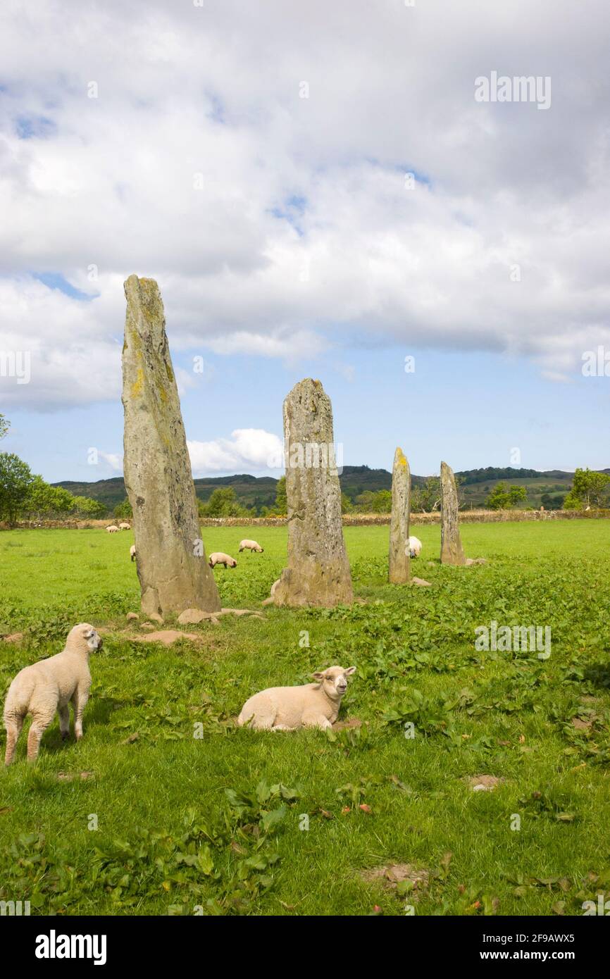 Prehistoric standing stones at Ballymeanoch, Kilmartin, Argyll, Scotland Stock Photo