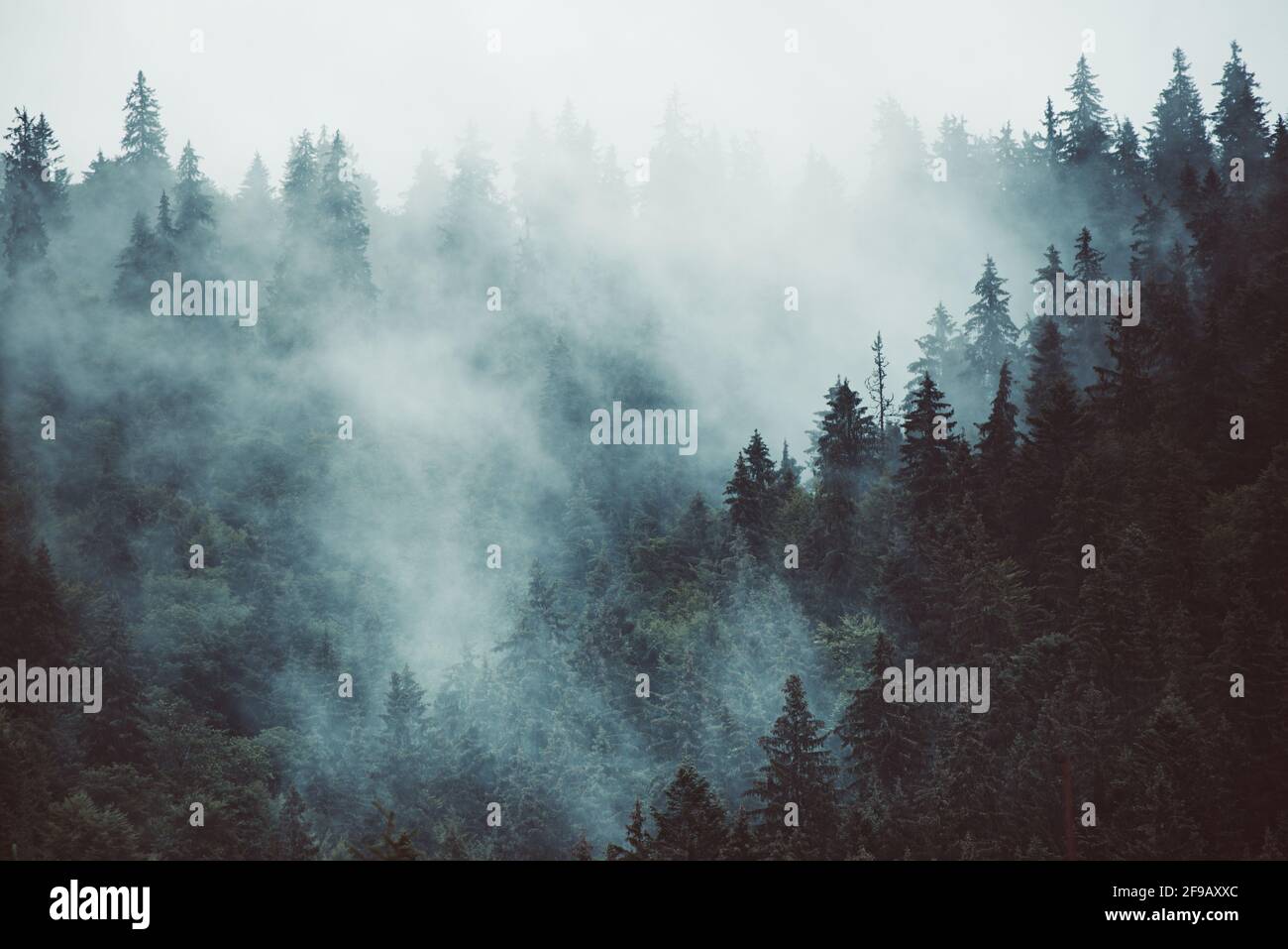 Misty mountain landscape Stock Photo - Alamy