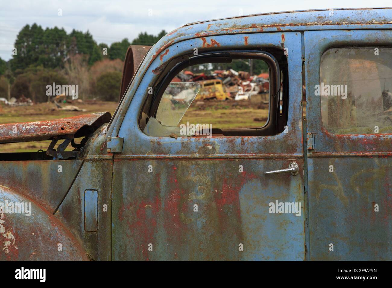 An old, rusted blue car in a wrecker's yard, with other scrapped vehicles visible through the car's broken windows Stock Photo
