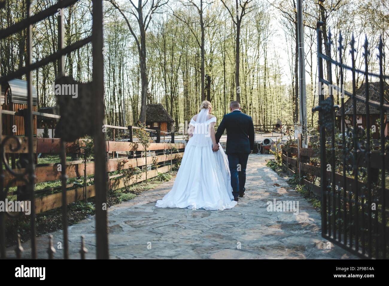 Back view of a bride and groom walking in a park Stock Photo - Alamy