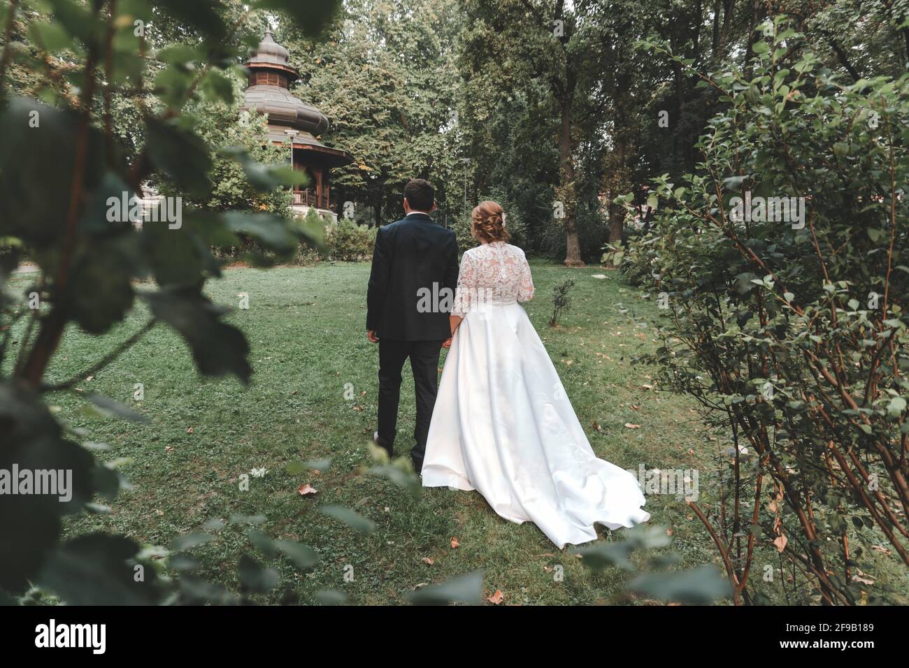 Back view of a bride and groom at a park Stock Photo - Alamy
