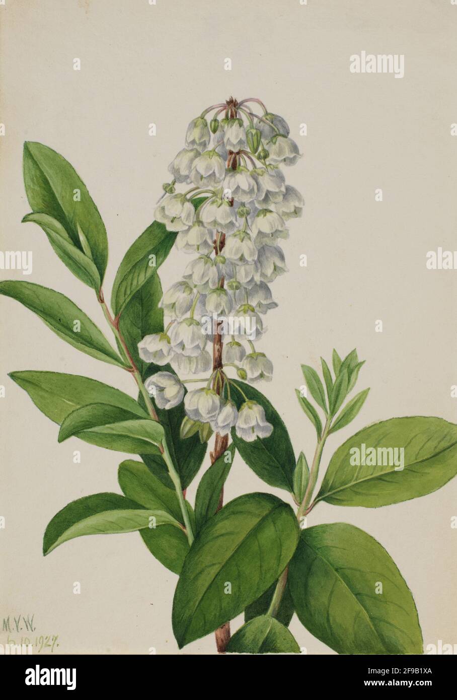 Zenobia painting hires stock photography and images Alamy