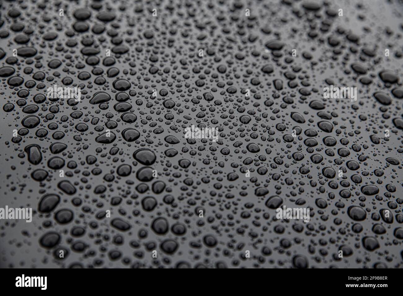 Water drops on car body. Hydrophobic effect Stock Photo Alamy