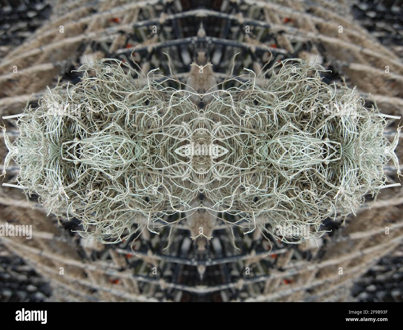 Fish Net Abstract Cable mosaic hi-res stock photography and images - Alamy