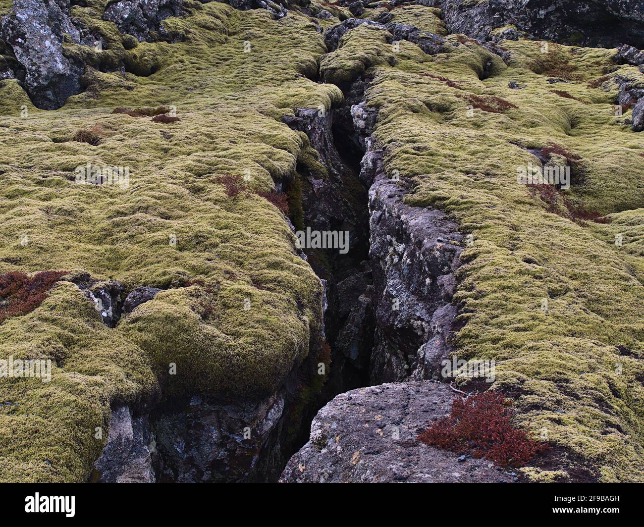 Closeup view of deep fissure on rocky volcanic lava field covered by green moss near Grindavik, Reykjanes peninsula, Iceland on cloudy winter day. Stock Photo