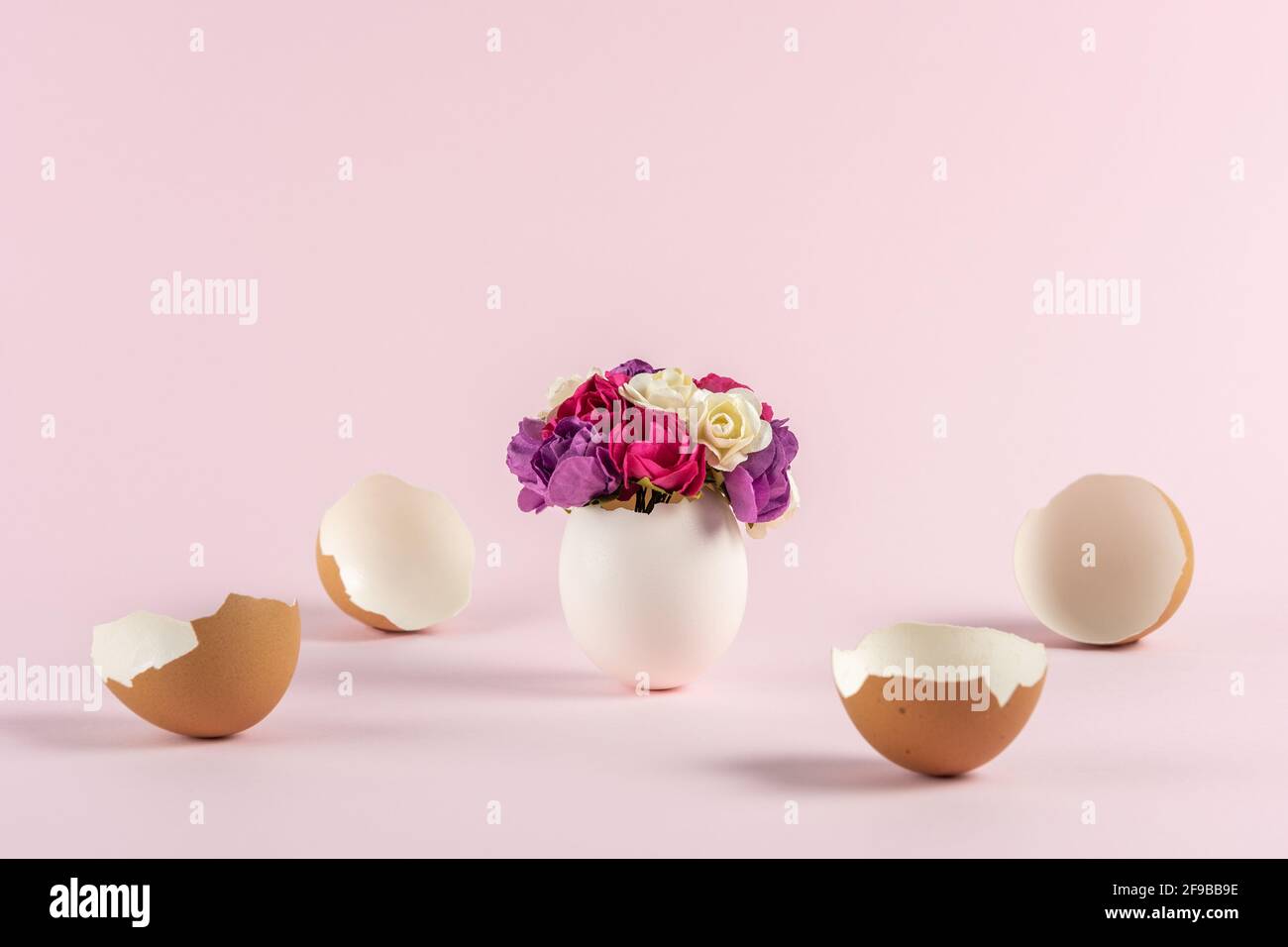 Spring flowers in cracked eggshell with broken Easter eggs against pastel pink background. Easter minimal concept. Creative Happy Easter or spring lay Stock Photo