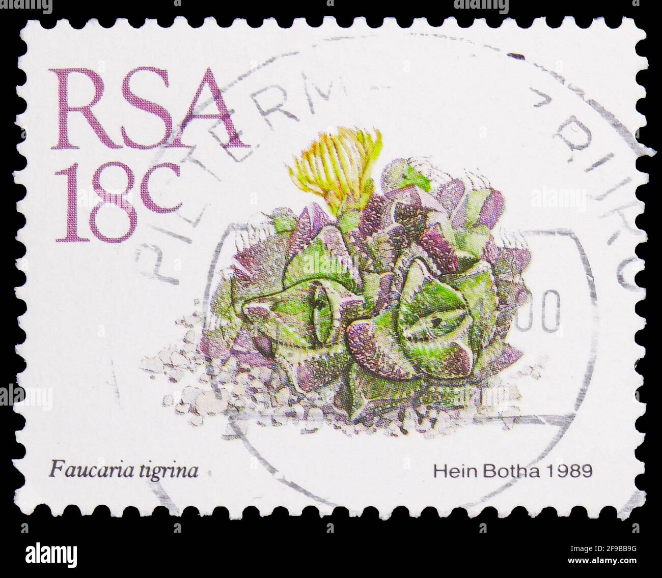 MOSCOW, RUSSIA - SEPTEMBER 24, 2019: Postage stamp printed in South Africa shows Faucaria tigrina, Definitive Issue - Succulents serie, circa 1989 Stock Photo