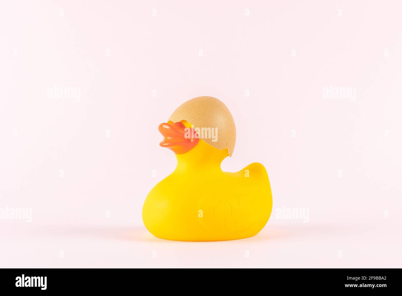 Rubber duck with cracked eggshell on pastel pink background. Easter minimal concept. Creative Happy Easter or spring layout. Stock Photo