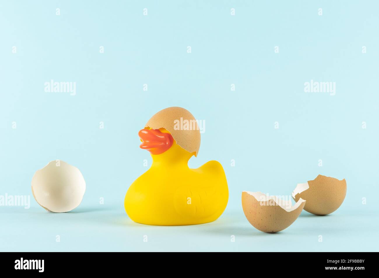 Rubber duck with cracked Easter eggs on pastel blue background. Easter minimal concept. Creative Happy Easter or spring layout. Stock Photo