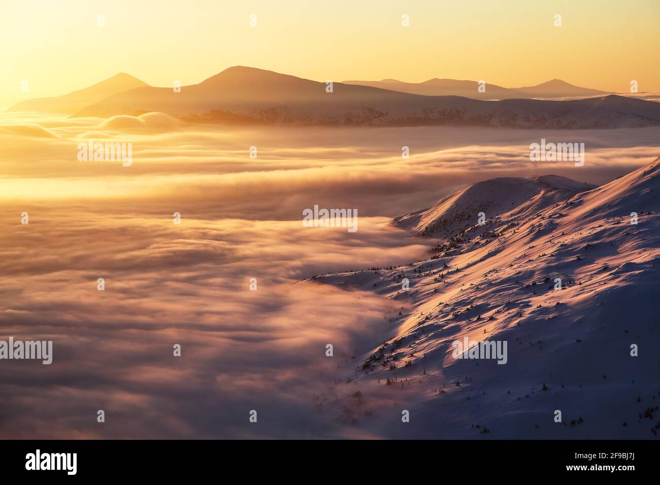Beautiful sunset shine enlightens the picturesque landscapes with fair trees covered with snow and high mountains. Frosty foggy day, gorgeous wintry s Stock Photo